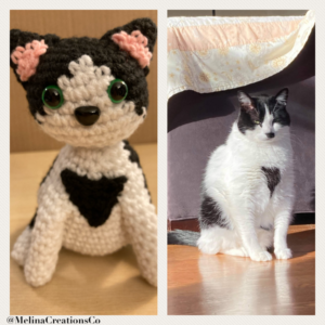 Side-by-side crochet and real cat front