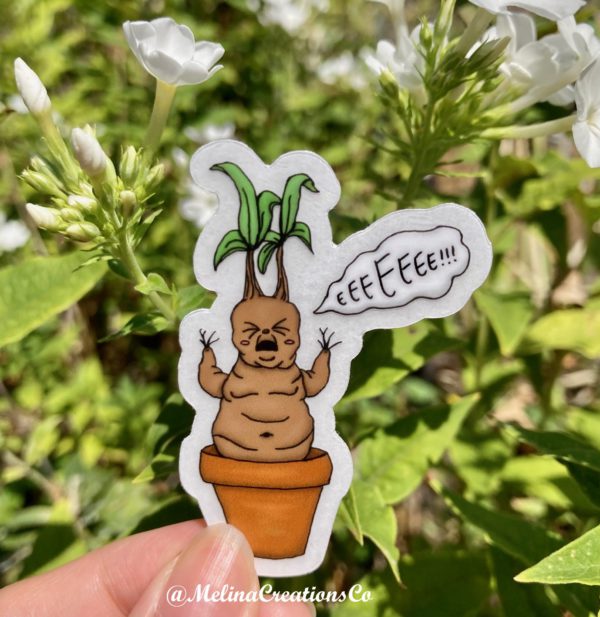 Baby mandrake clear sticker